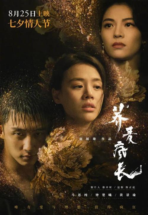 购买巴哈马签证